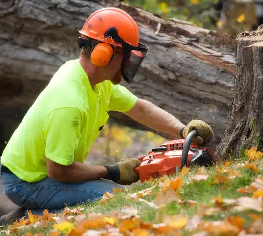 tree services Hessmer